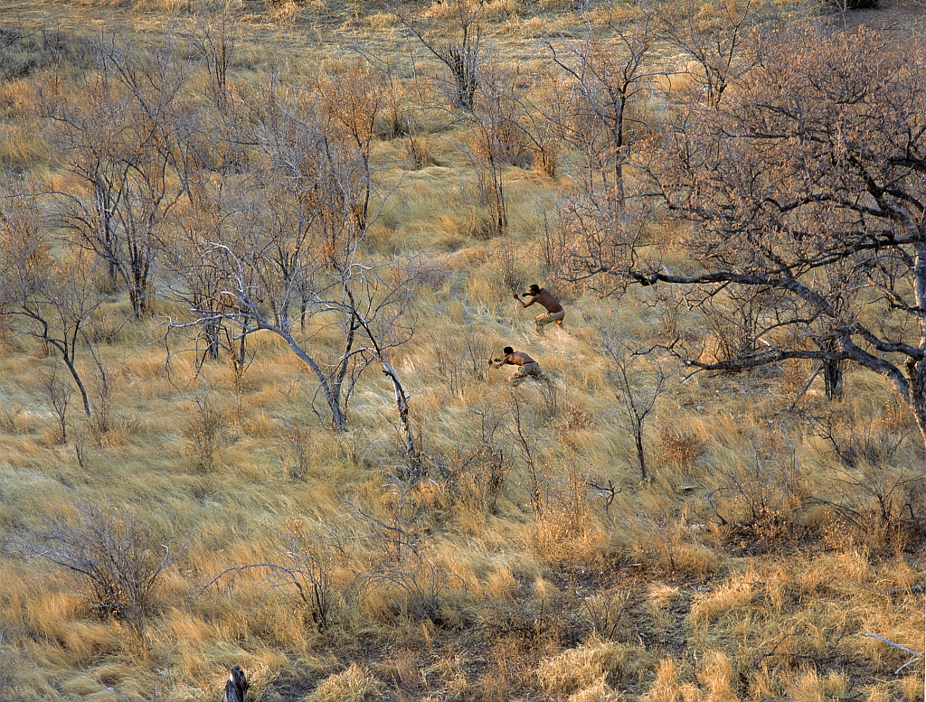 Deux chasseurs a l&#039;arc, en pays Bochiman, Namibie. / Two archers in Bushman country, Namibia.