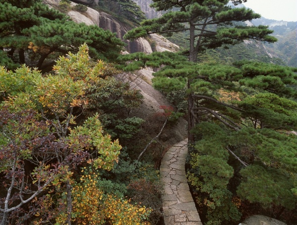 The Huang Shan mountains, a place of inspiration for traditional Chinese painting and literature, China.
