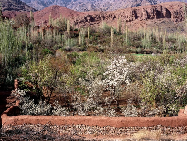 Spring in the village of Abyaneh, Iran.