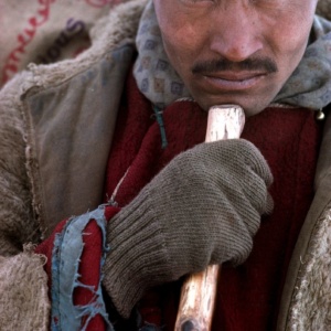 Progression d'un porteur sur le Tchadar accroche a son long baton, Zanskar, Himalaya indien