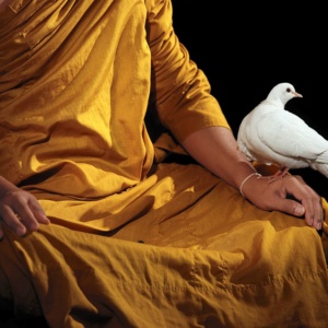 The venerable Maha Pinn Bhutawiriyo, a Buddhist monk, during a deep Vipassana meditation, Thailand